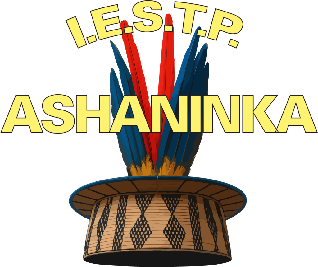 Aula Virtual   IESTP ASHANINKA